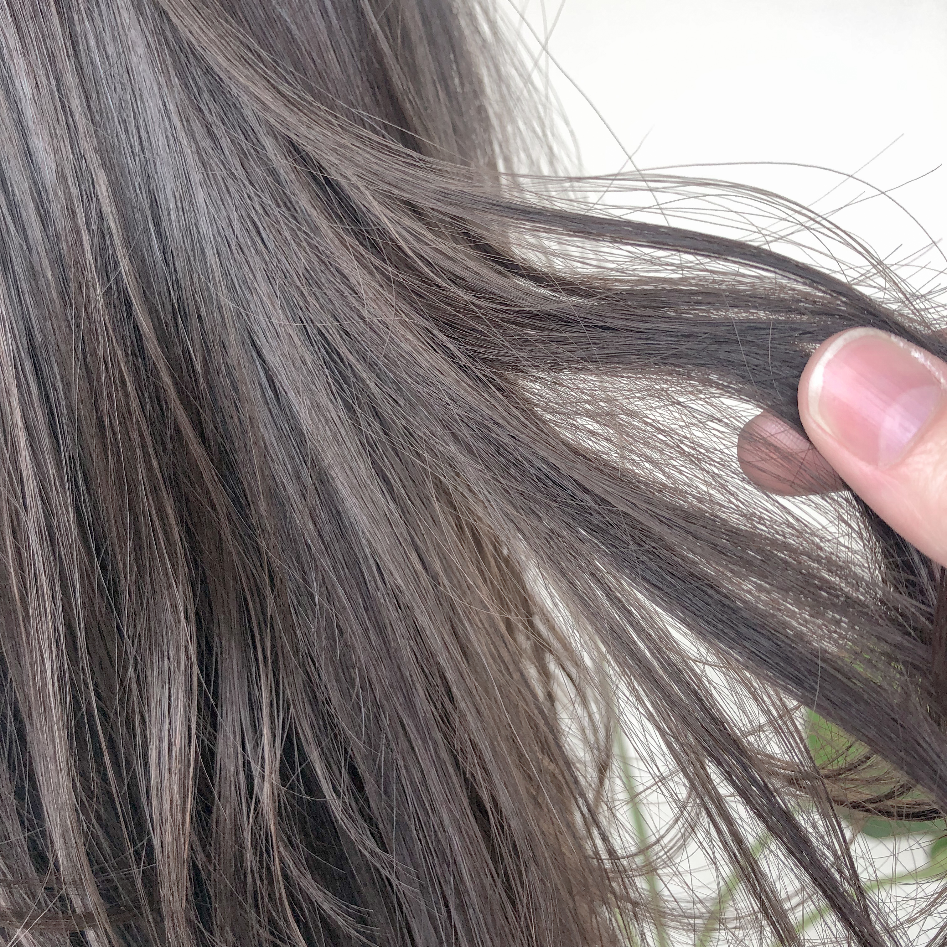 髪が絡まりやすい人はシャンプー前に が良い Hair Salon Piece Official Site ヘアサロン ピース 髪が絡まりやすい人はシャンプー前に が良い Hair Salon Piece Official Site ヘアサロン ピース